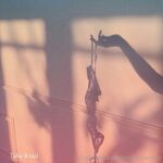 Merve sanay