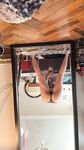 Simge Barankoğlu Onlyfans Gallari