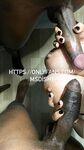 msdishy-dafneeqin