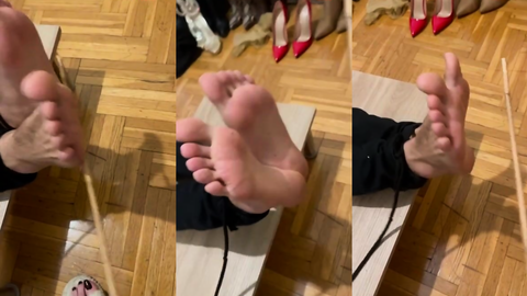 Falakaya yatırdım köpeği • Sahibe Leyla