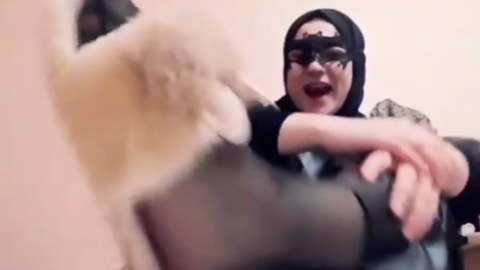 Köpek ederim seni • Queen Salome